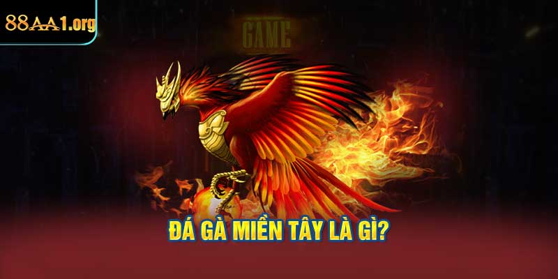 Đá gà miền tây là gì?