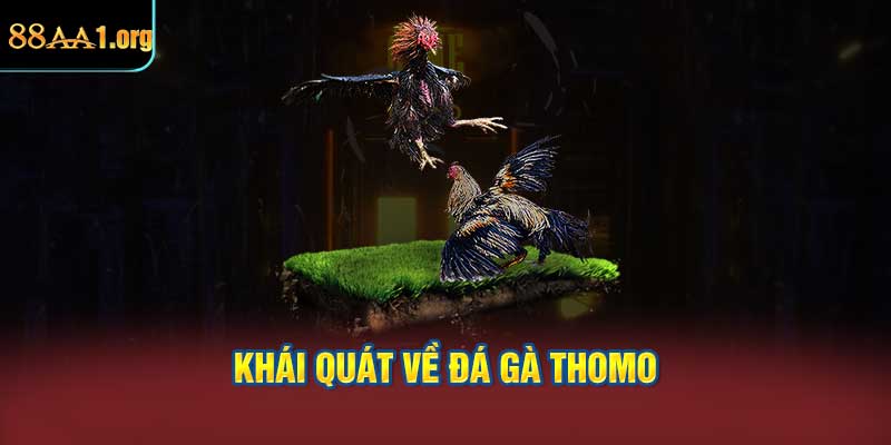 Khái quát về đá gà Thomo