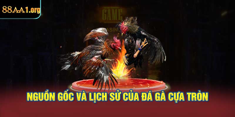 Nguồn Gốc và Lịch Sử của Đá Gà Cựa Tròn