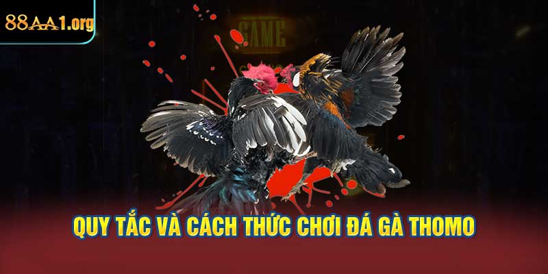 Quy tắc và cách thức chơi đá gà Thomo